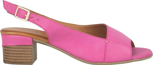 Balmoral - Fuchsia (Turkey)