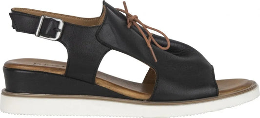 Avoca - Black (Turkey)