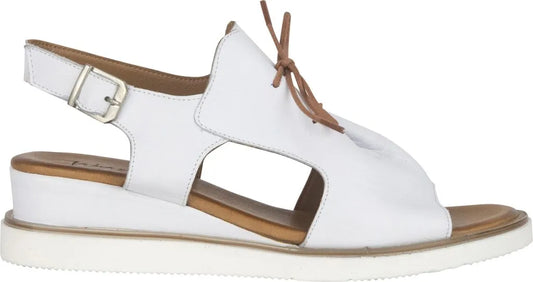 Avoca - White (Turkey)