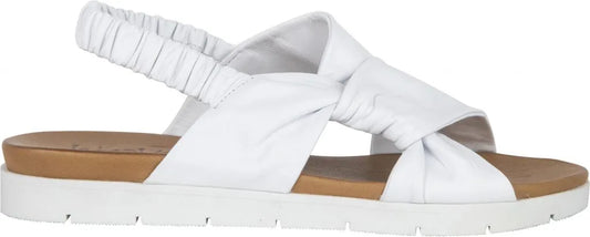 Alice - White (Turkey)