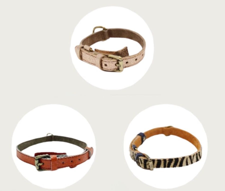 Dog Collar
