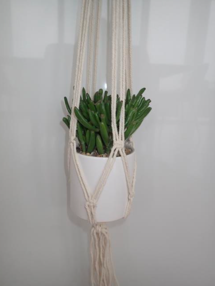 Homewares Hanging Baskets FSHB8002