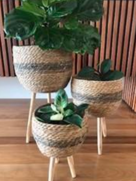 Homewares Woven Pots Set FSP105